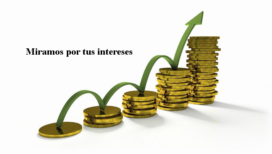 RENTABILIDAD